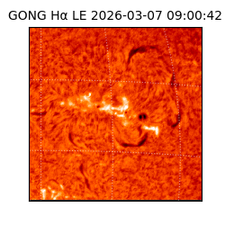 gong - 2026-03-07T09:00:42