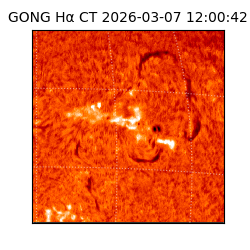 gong - 2026-03-07T12:00:42