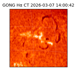 gong - 2026-03-07T14:00:42