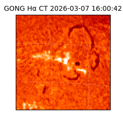 gong - 2026-03-07T16:00:42