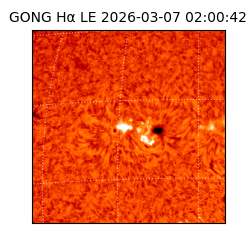 gong - 2026-03-07T02:00:42