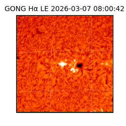 gong - 2026-03-07T08:00:42