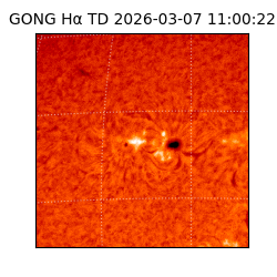 gong - 2026-03-07T11:00:22