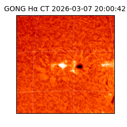 gong - 2026-03-07T20:00:42