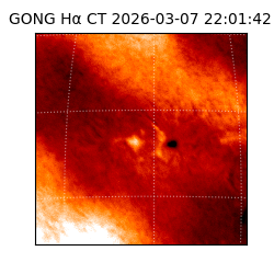 gong - 2026-03-07T22:01:42