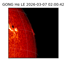 gong - 2026-03-07T02:00:42