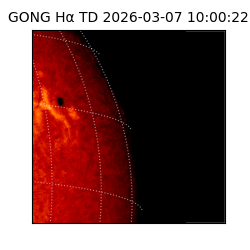 gong - 2026-03-07T10:00:22