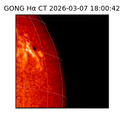 gong - 2026-03-07T18:00:42