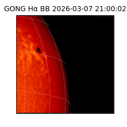 gong - 2026-03-07T21:00:02