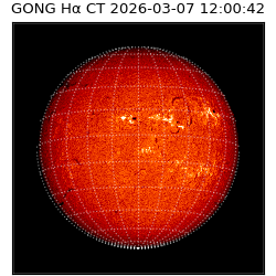 gong - 2026-03-07T12:00:42