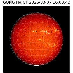 gong - 2026-03-07T16:00:42