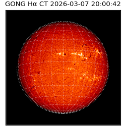 gong - 2026-03-07T20:00:42