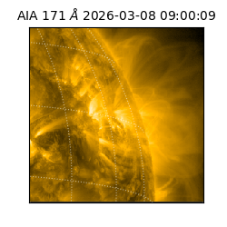 saia - 2026-03-08T09:00:09.349000