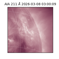 saia - 2026-03-08T03:00:09.622000