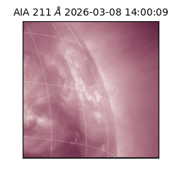 saia - 2026-03-08T14:00:09.623000