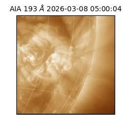 saia - 2026-03-08T05:00:04.842000