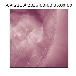 saia - 2026-03-08T05:00:09.622000