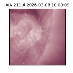 saia - 2026-03-08T10:00:09.631000