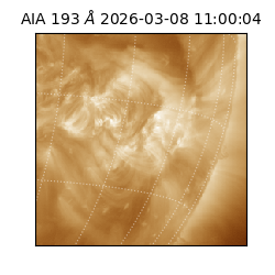 saia - 2026-03-08T11:00:04.842000