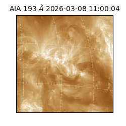 saia - 2026-03-08T11:00:04.842000