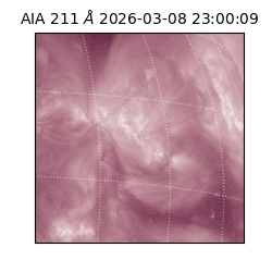 saia - 2026-03-08T23:00:09.620000