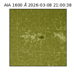 saia - 2026-03-08T21:00:38.129000