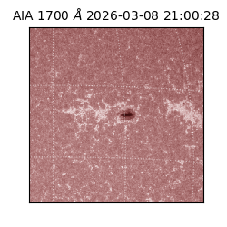 saia - 2026-03-08T21:00:28.446000