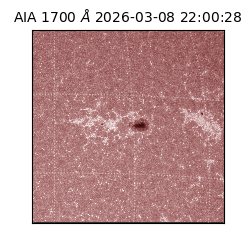 saia - 2026-03-08T22:00:28.450000