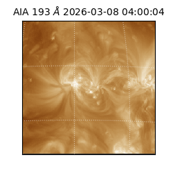 saia - 2026-03-08T04:00:04.842000