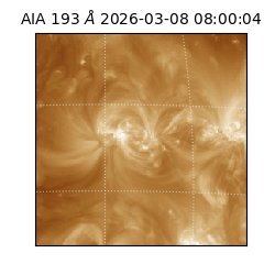 saia - 2026-03-08T08:00:04.843000