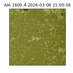 saia - 2026-03-08T21:00:38.129000