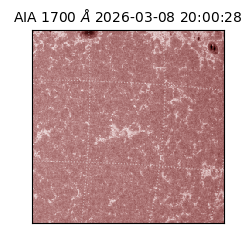 saia - 2026-03-08T20:00:28.446000