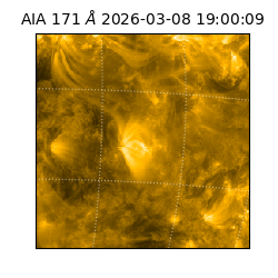 saia - 2026-03-08T19:00:09.348000