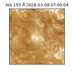 saia - 2026-03-08T07:00:04.842000