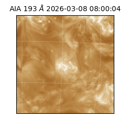 saia - 2026-03-08T08:00:04.843000