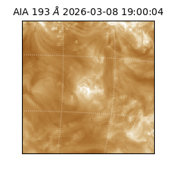 saia - 2026-03-08T19:00:04.845000
