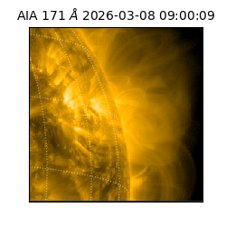 saia - 2026-03-08T09:00:09.349000