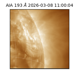 saia - 2026-03-08T11:00:04.842000