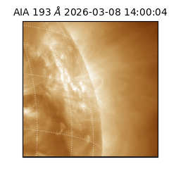 saia - 2026-03-08T14:00:04.845000