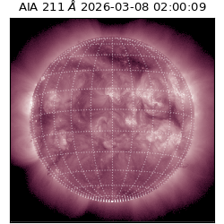 saia - 2026-03-08T02:00:09.623000