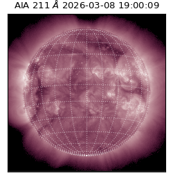 saia - 2026-03-08T19:00:09.624000