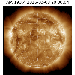 saia - 2026-03-08T20:00:04.842000