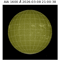 saia - 2026-03-08T21:00:38.129000