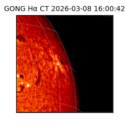 gong - 2026-03-08T16:00:42