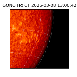 gong - 2026-03-08T13:00:42