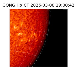 gong - 2026-03-08T19:00:42