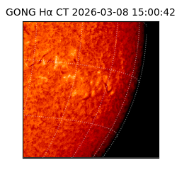 gong - 2026-03-08T15:00:42