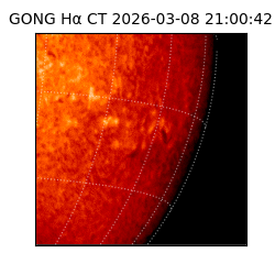 gong - 2026-03-08T21:00:42