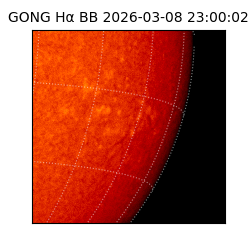 gong - 2026-03-08T23:00:02