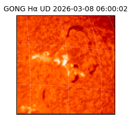 gong - 2026-03-08T06:00:02